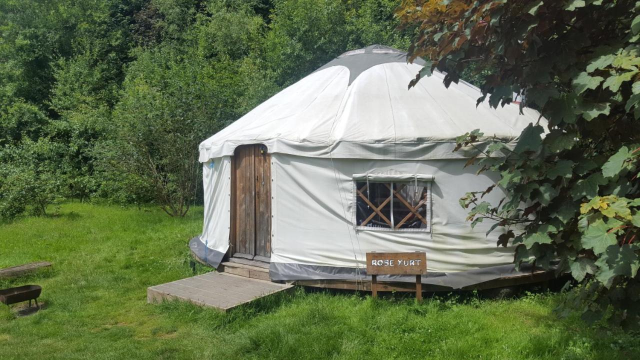 South Downs Eco Lodge & Camping East Meon Exterior foto