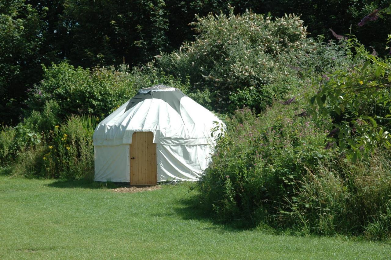 South Downs Eco Lodge & Camping East Meon Exterior foto