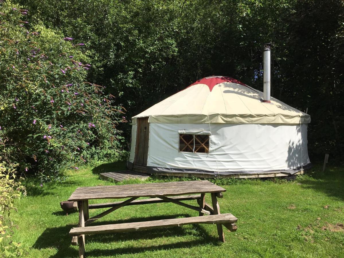 South Downs Eco Lodge & Camping East Meon Exterior foto